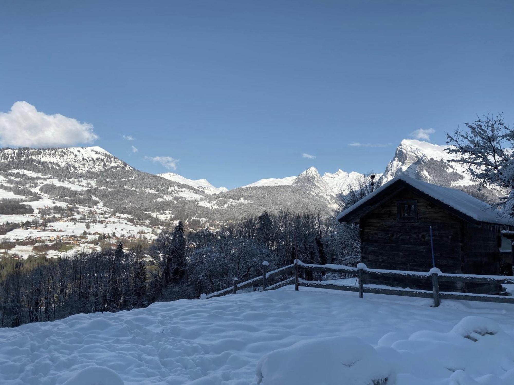 Chalet La Foge - Samoens Villa Morillon Eksteriør billede