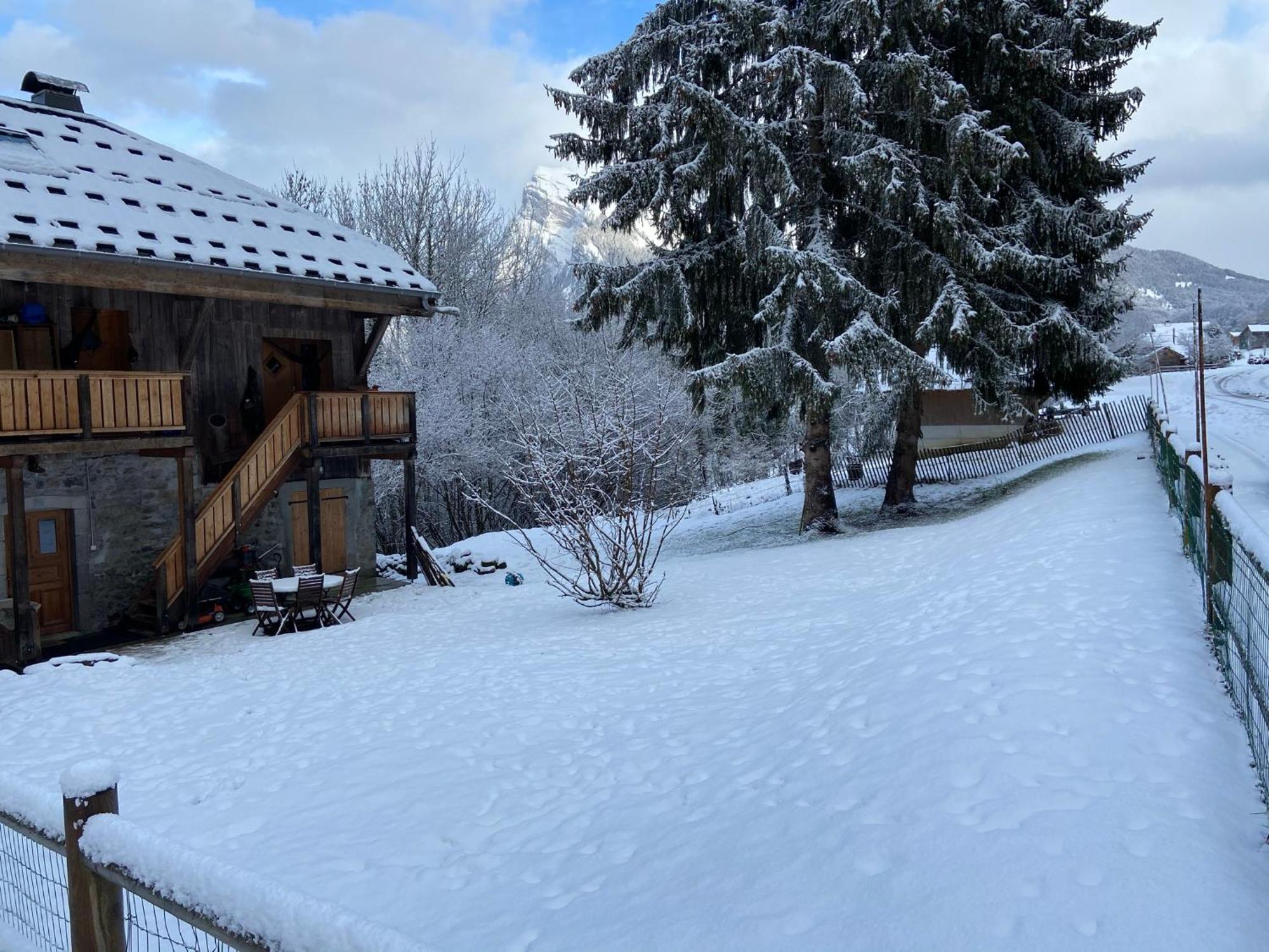 Chalet La Foge - Samoens Villa Morillon Eksteriør billede